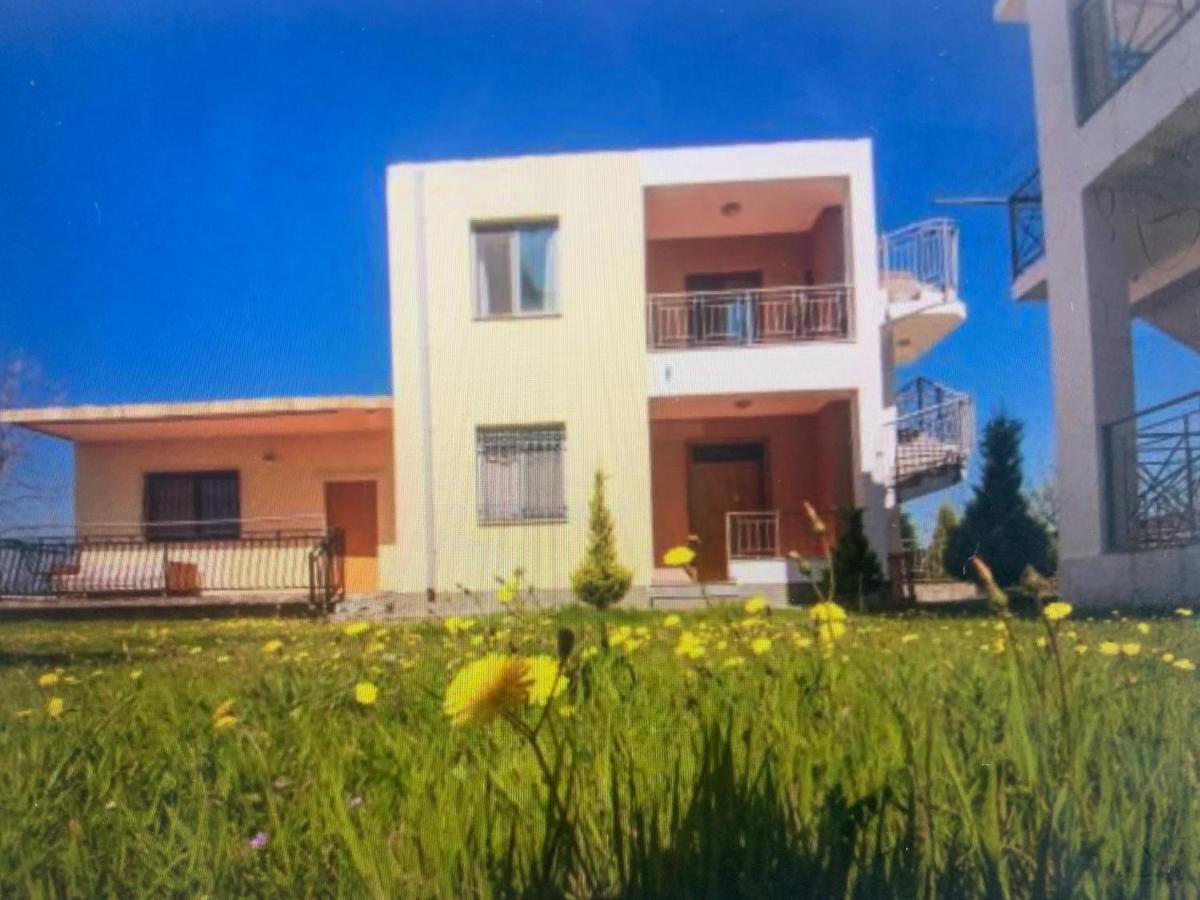 Shyqi Apartments Velipojë Exterior foto